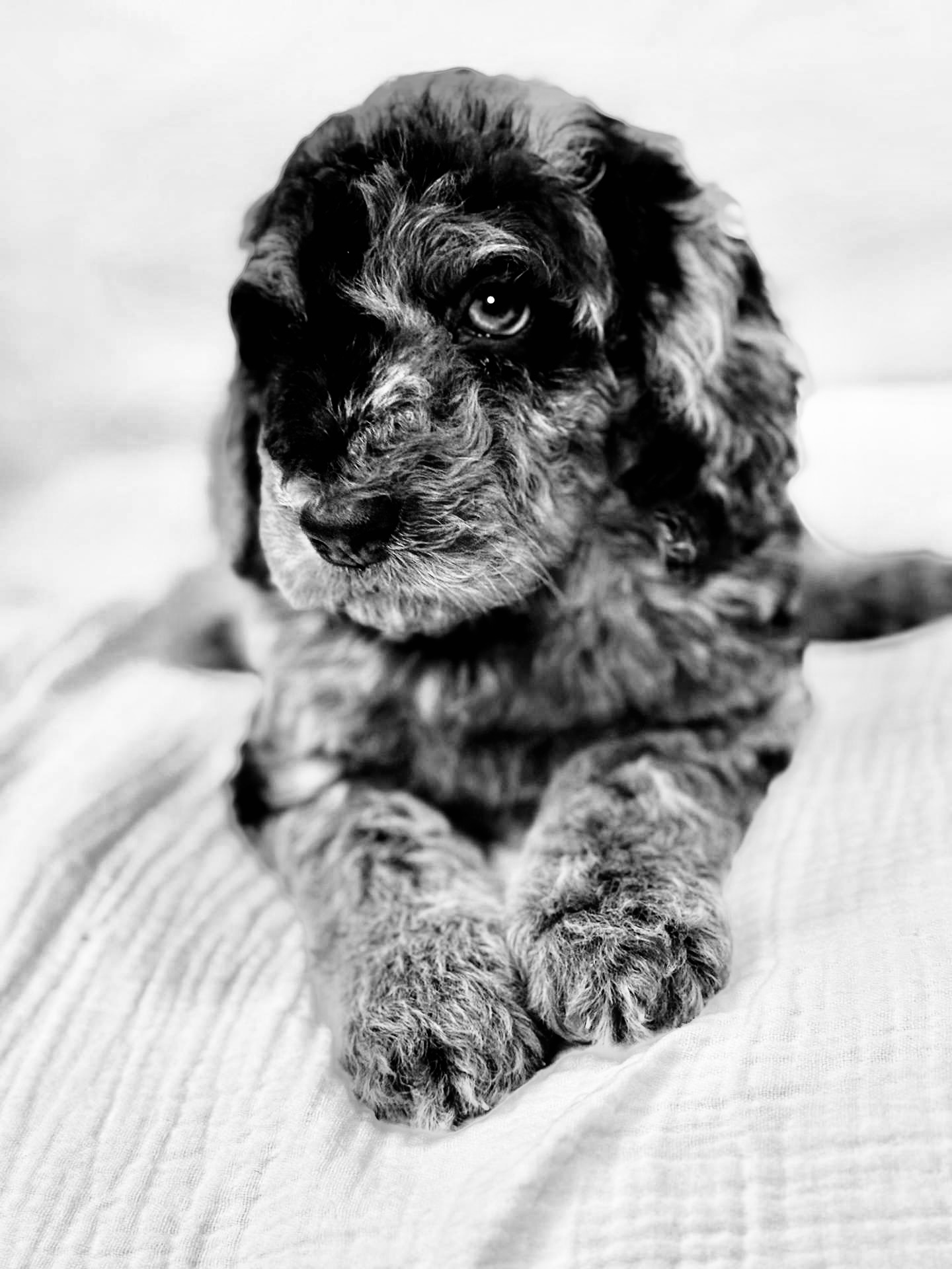 Photography sample 5