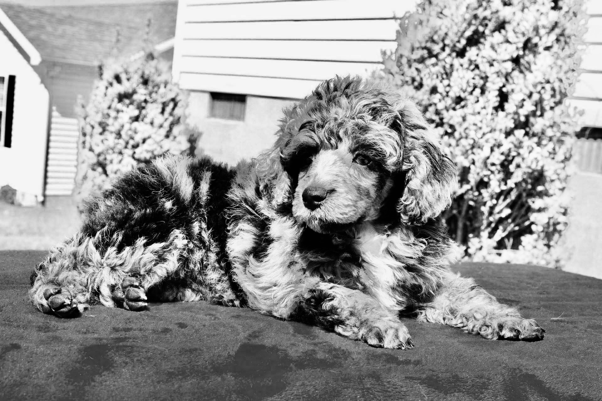 Photography sample 3